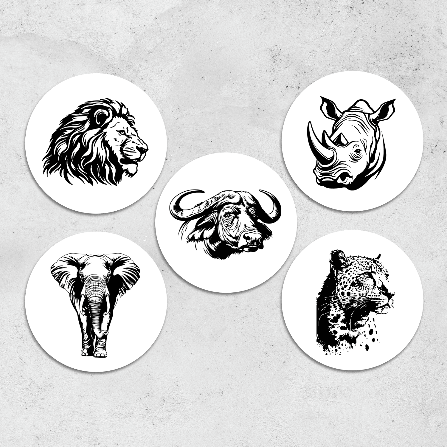 Big 5 Coaster Set #2