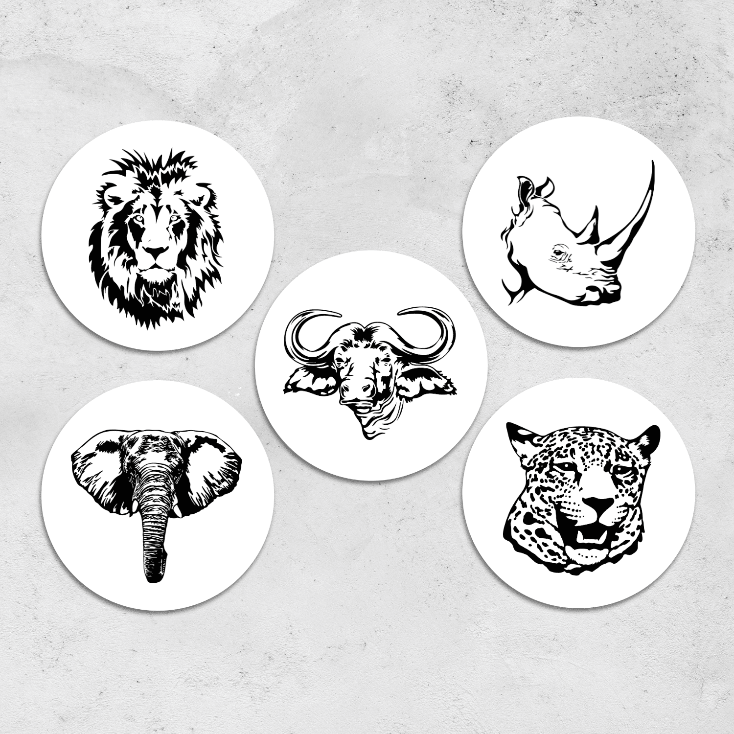 Big 5 Coaster Set #1