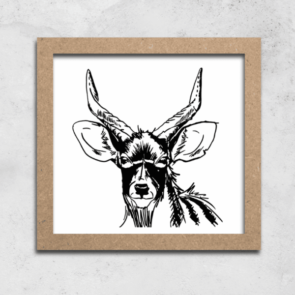 Nyala