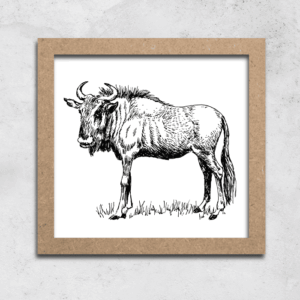 Wildebeest