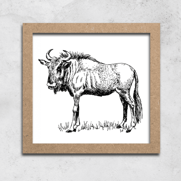 Wildebeest
